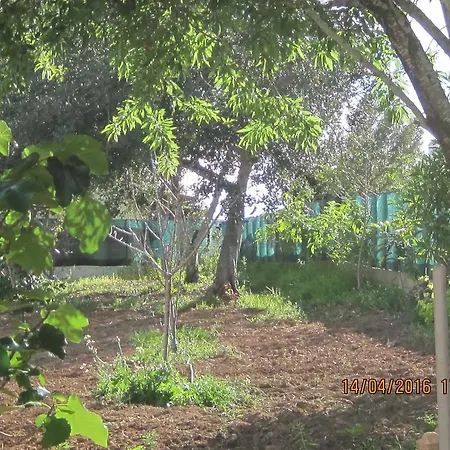 Guest house Quinta Da Fonte Em 4*