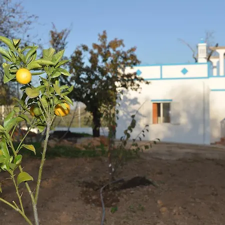 Quinta Da Fonte Em Moncarapacho